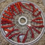 cayenne peppers on dehydrator tray