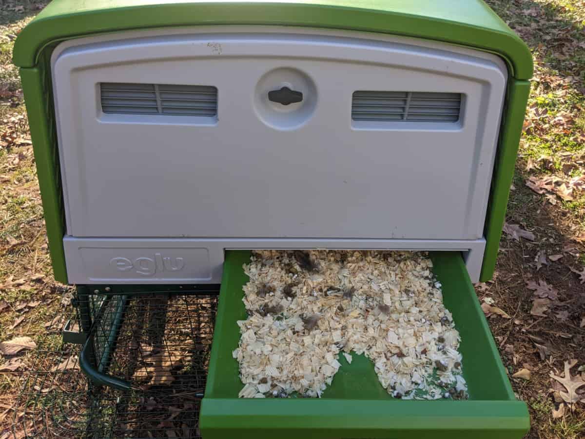 omlet-eglu-chicken-coop-review-is-it-worth-it