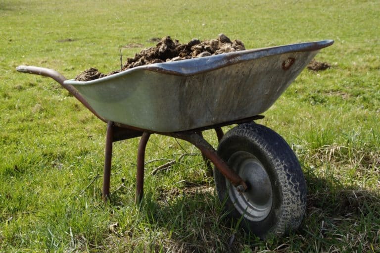 manure in wheel barrow