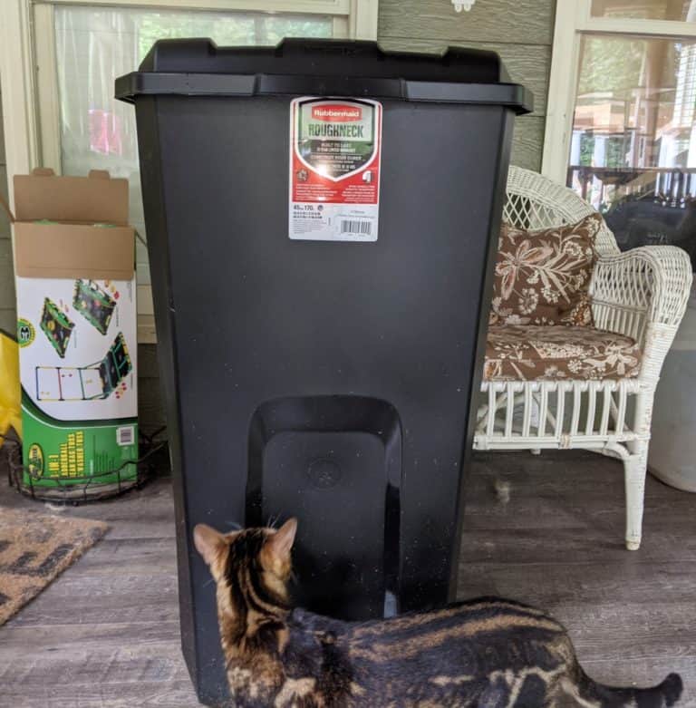 chicken feed in storage container