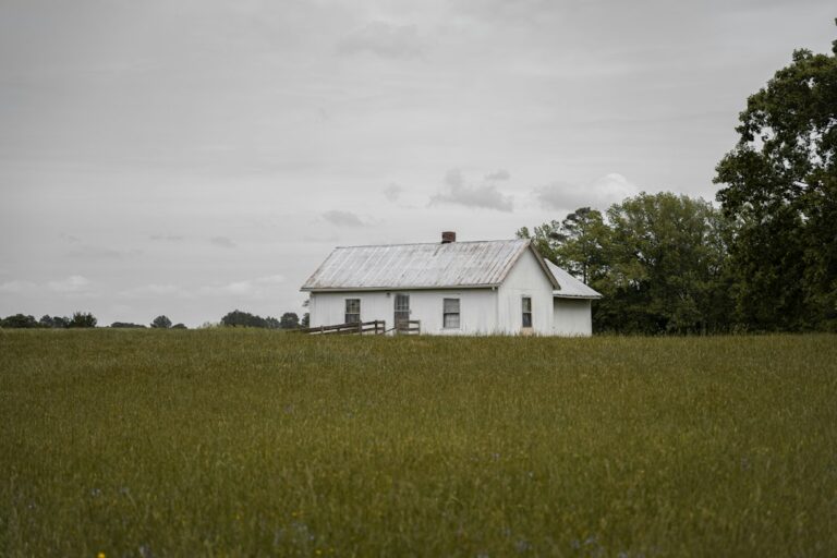 White farmhouse in an open field with trees, a classic rural homestead