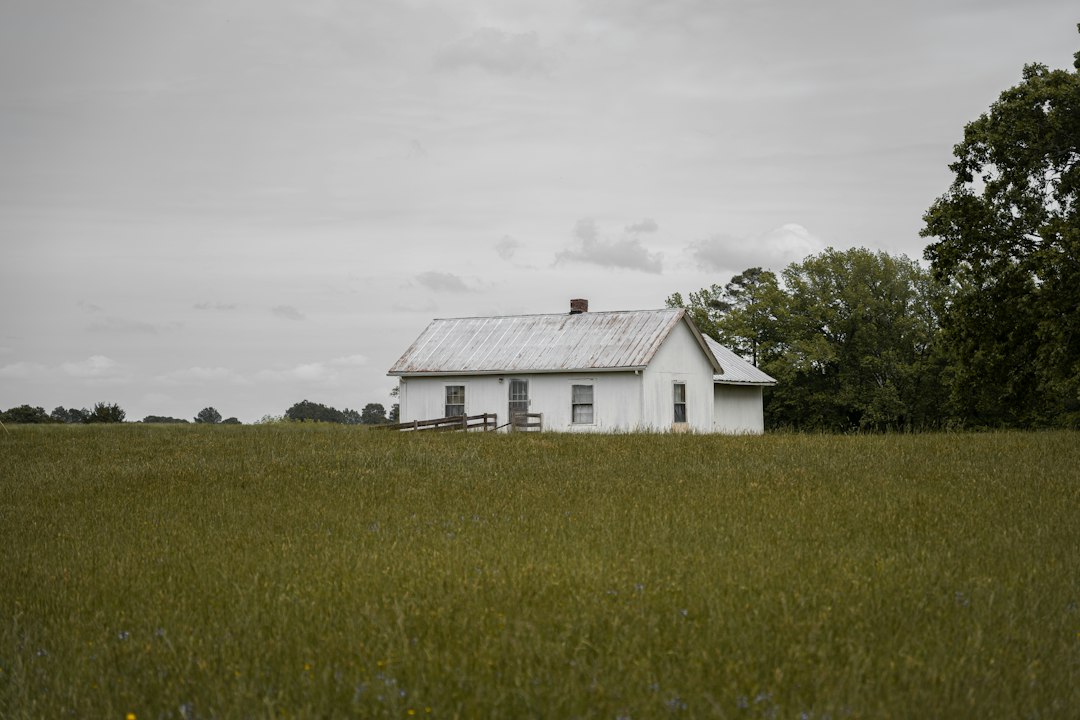 White farmhouse in an open field with trees, a classic rural homestead