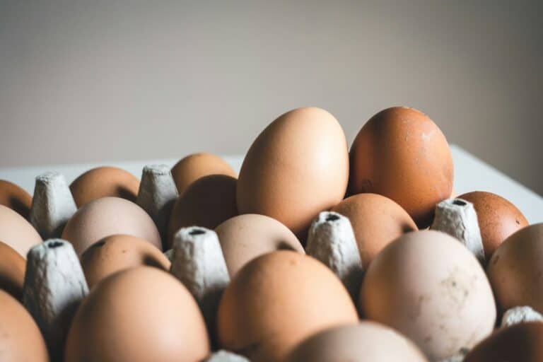 A dozen brown eggs in a carton